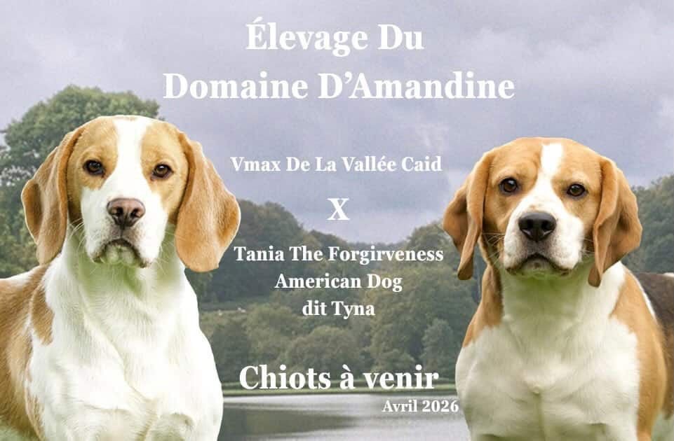 A définir