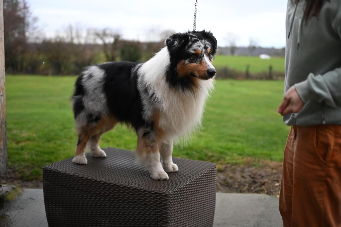 Publication : Of Heliofy Memories