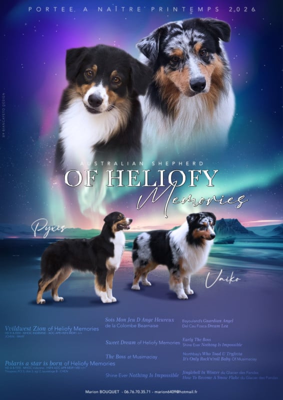 Berger Australien - Of Heliofy Memories