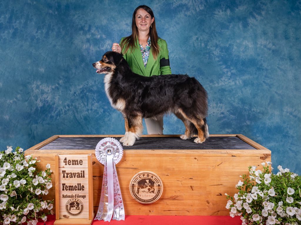 Polaris a star is born Of Heliofy Memories - 4ème excellent