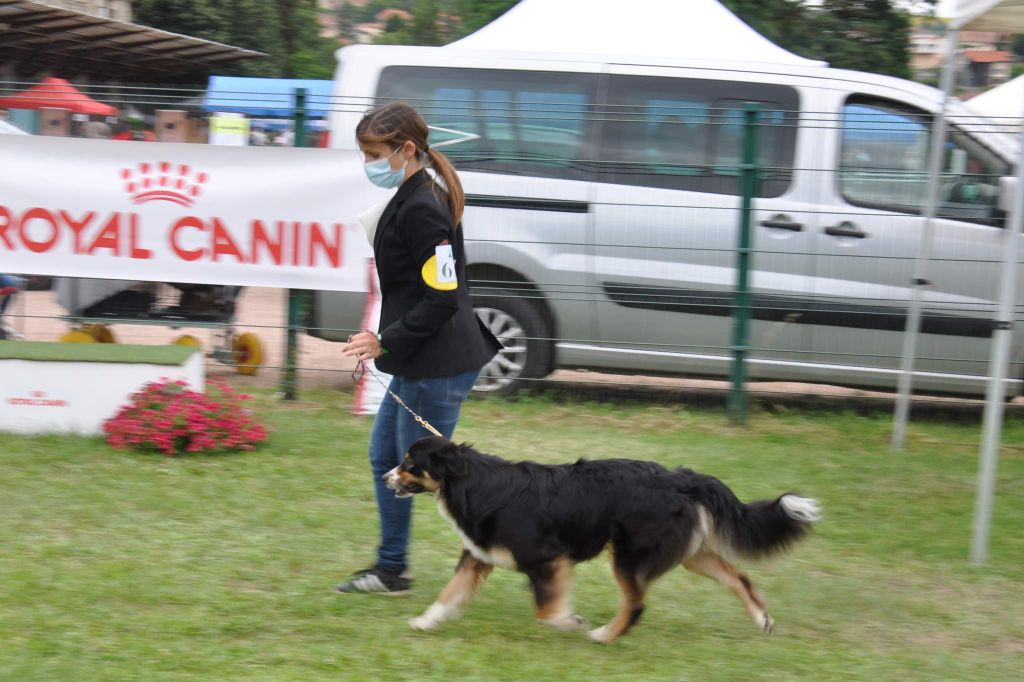 Polaris a star is born Of Heliofy Memories - Excellent