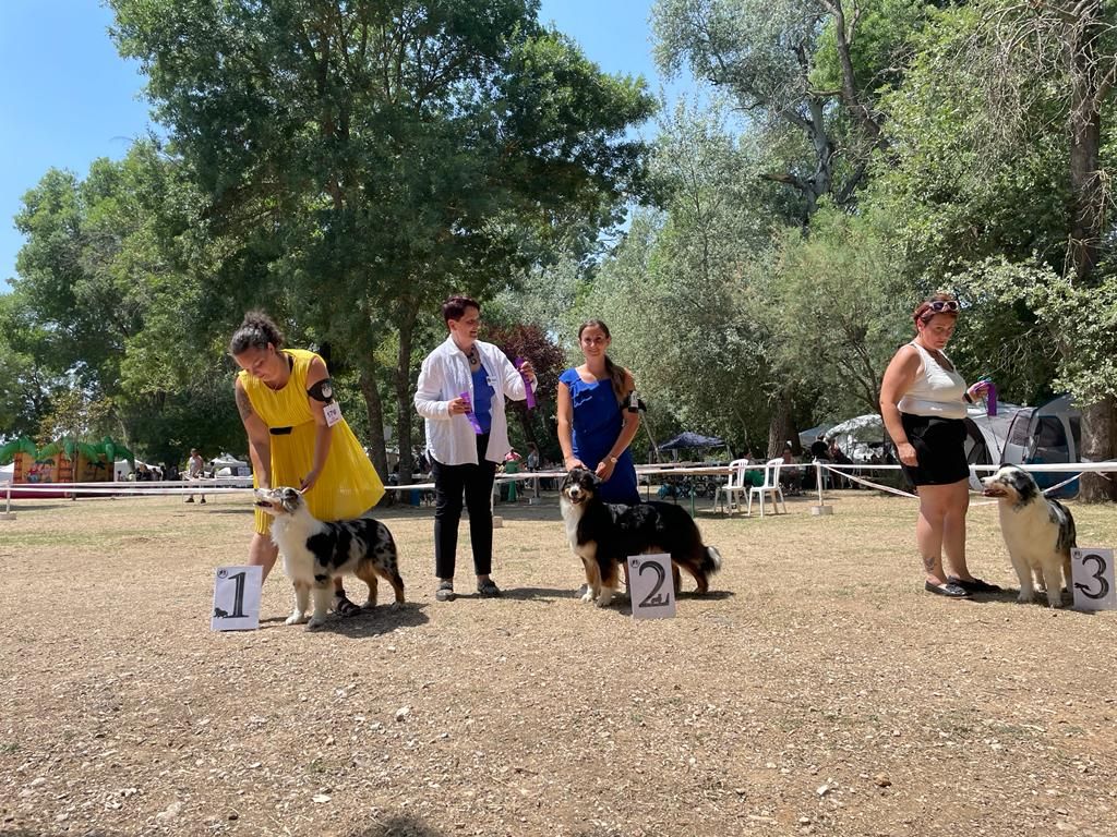 Polaris a star is born Of Heliofy Memories - 2eme excellent