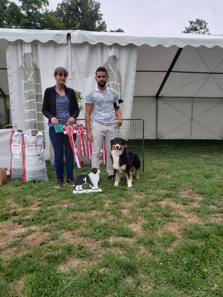 Polaris a star is born Of Heliofy Memories - 1ere excellent Bob travail