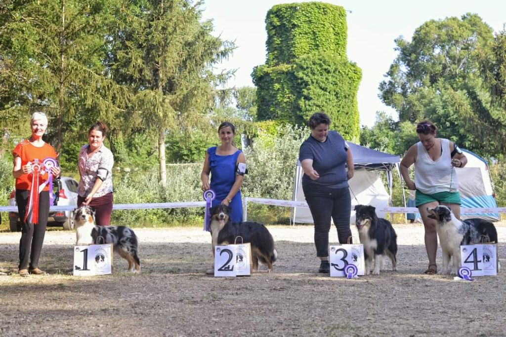 Polaris a star is born Of Heliofy Memories - 2eme excellent