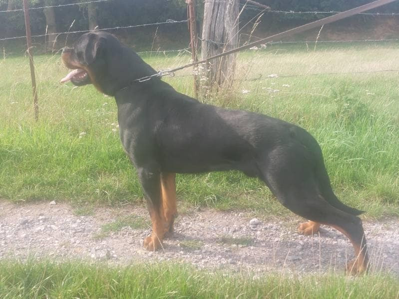 Publication : Du Rêve D'Azhar