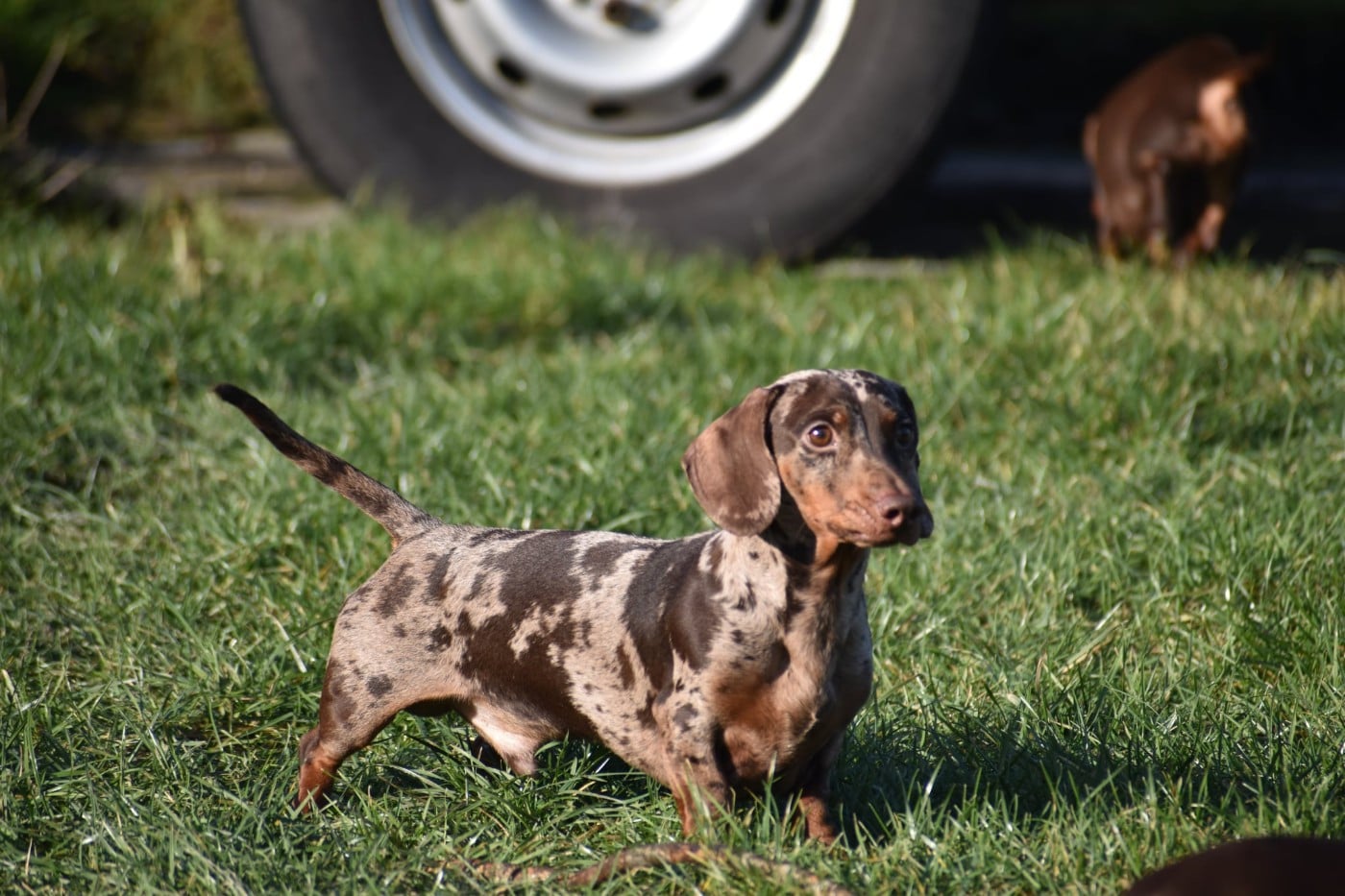 Vodka Le Royaume Des Minus Enchante