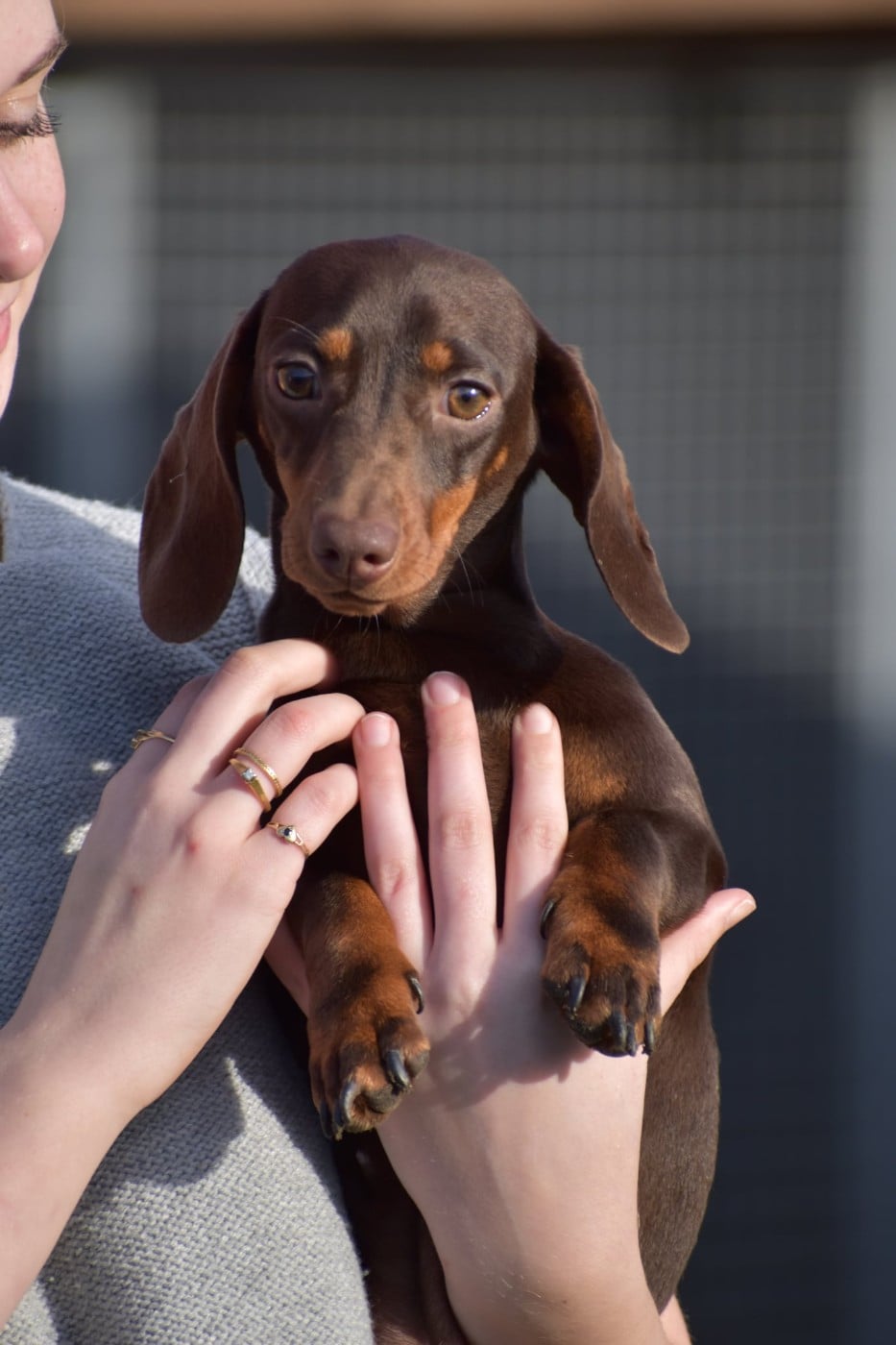 Aloha Charlotte de l'enclos thierachien