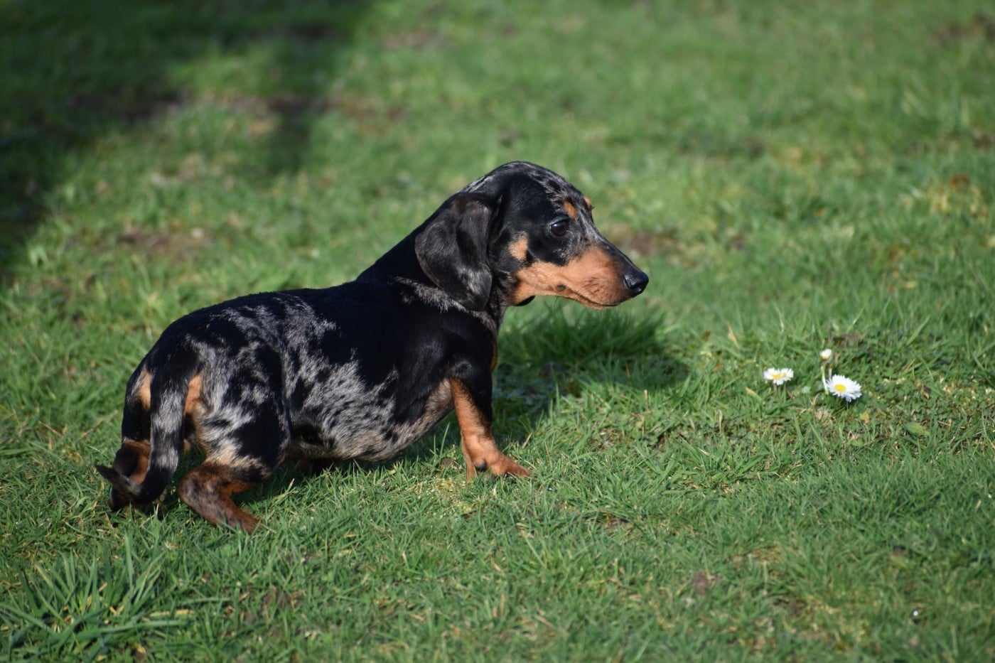 Neri alias Naomi Kharkovskyi talisman