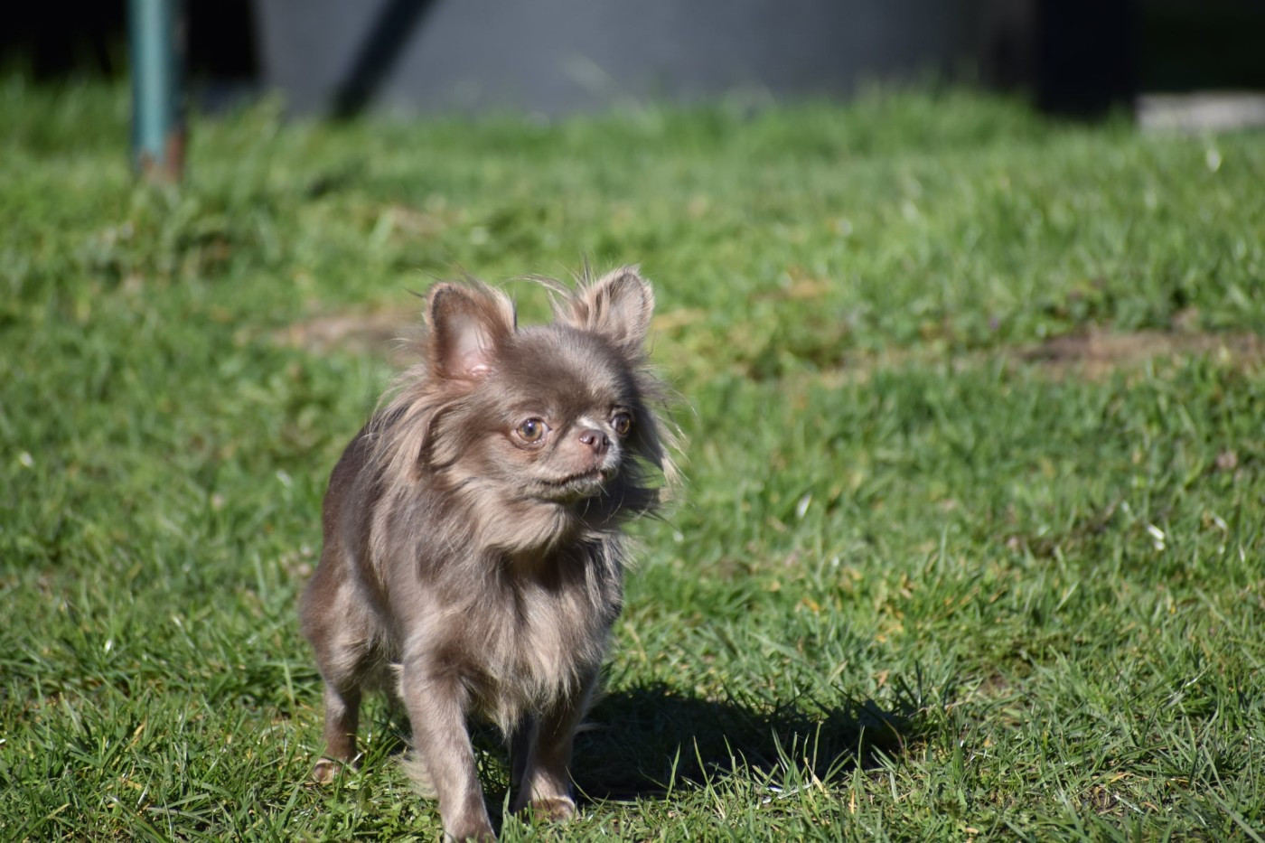 Rebecca (Sans Affixe)