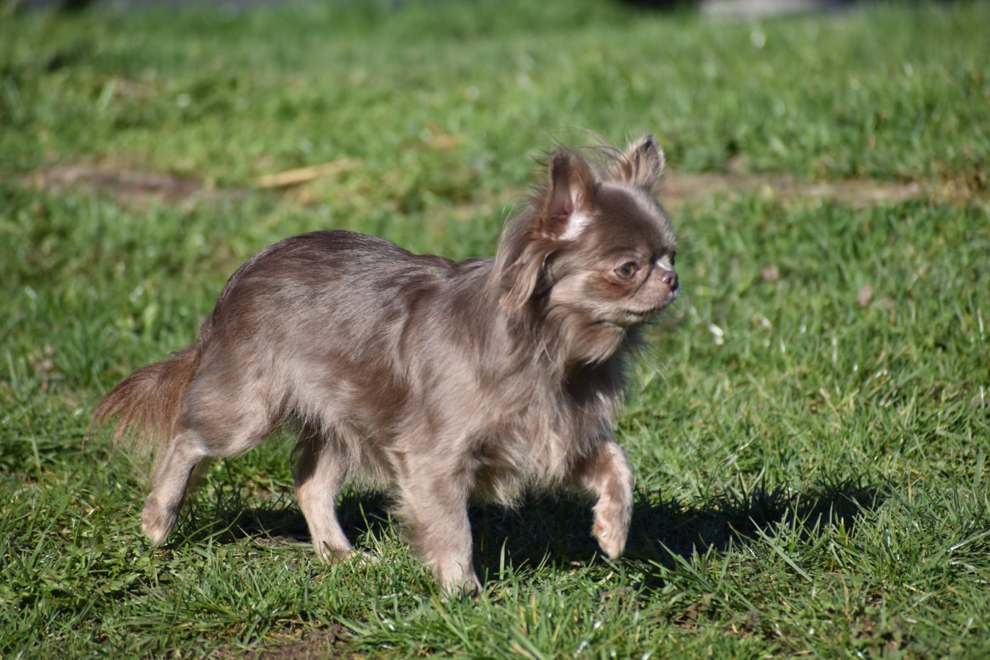 Rebecca (Sans Affixe)