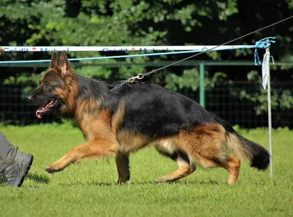 Publication : Von Mae Loba