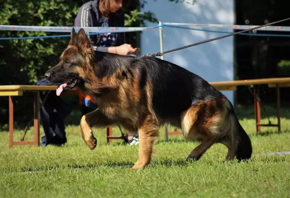 Publication : Von Mae Loba