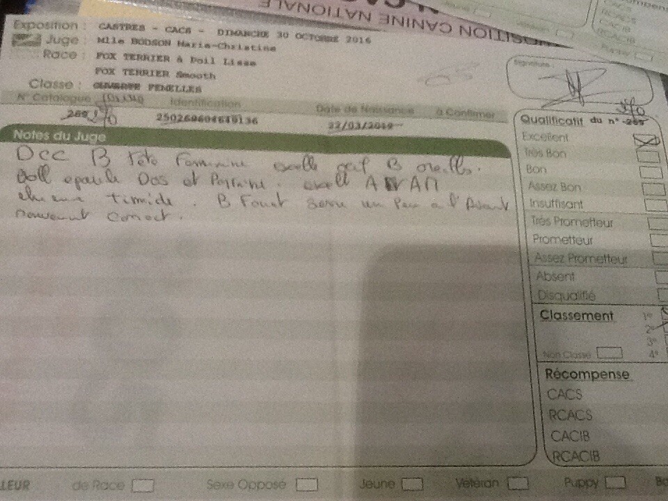 Del Monte Magdala Luna love good - Classe jeune 1ère excellent