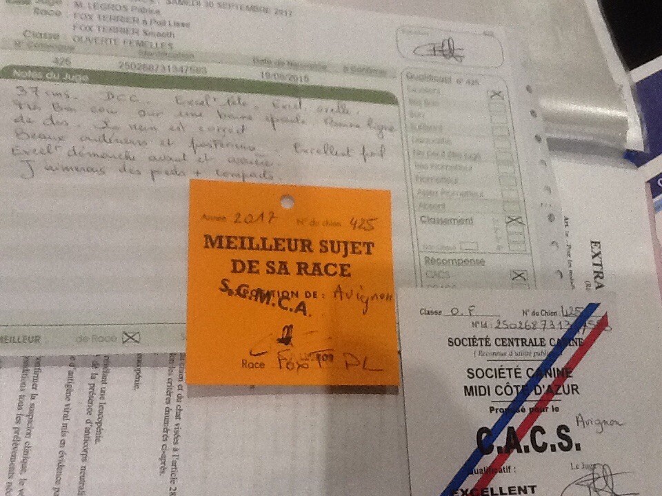 Del Monte Magdala Luna love good - CACS MEILLEUR SUJET DE RACE