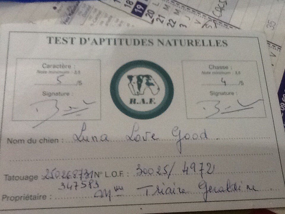 Del Monte Magdala Luna love good - TAN