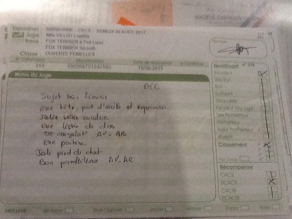 Del Monte Magdala Luna love good - 1 ère excellent RCACS