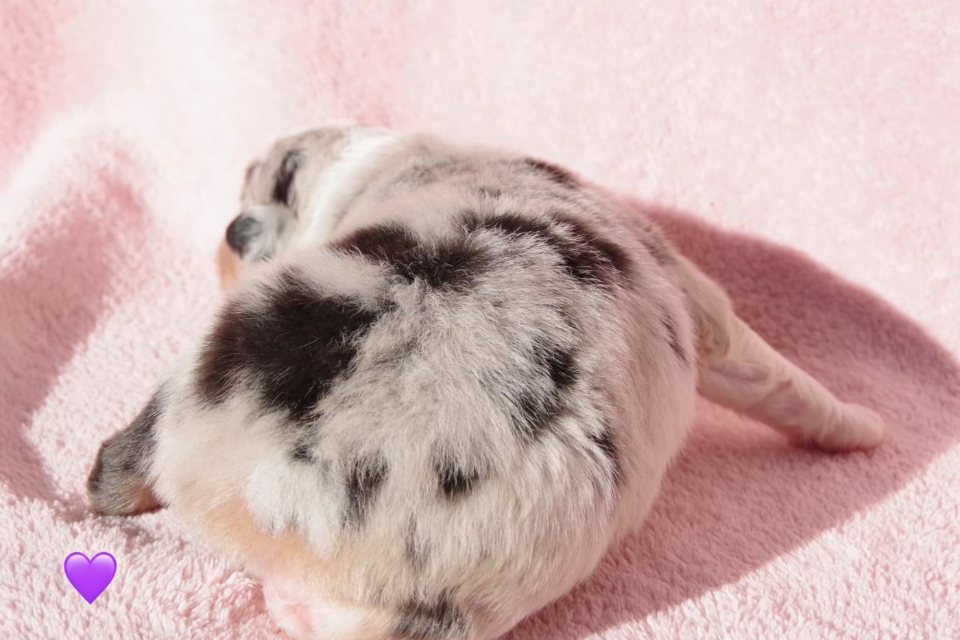 Ad vitam aeternam Athéna