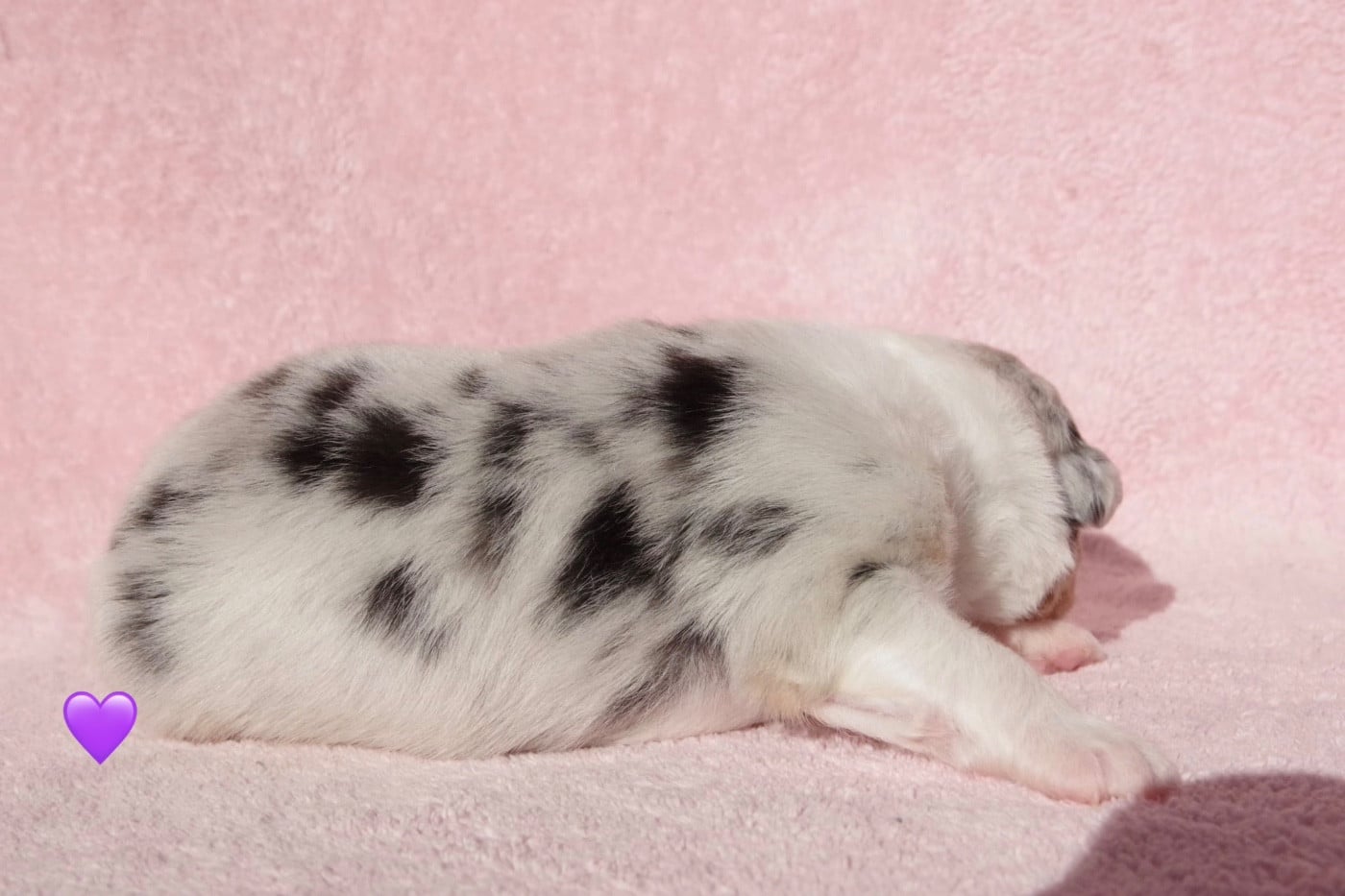 Ad vitam aeternam Athéna