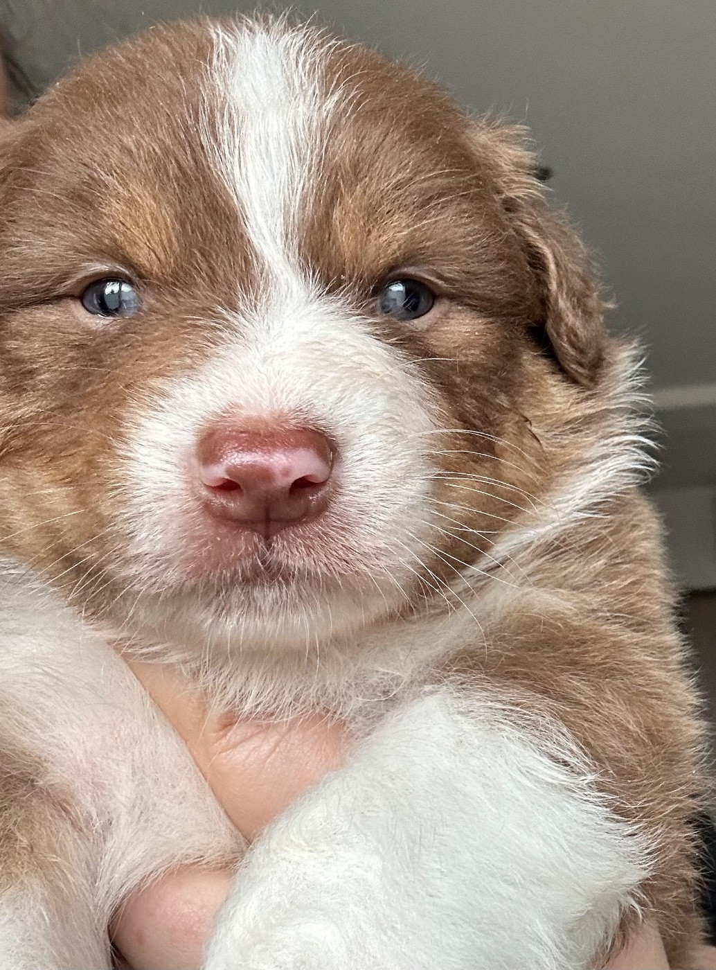 Ad vitam aeternam « Orange »