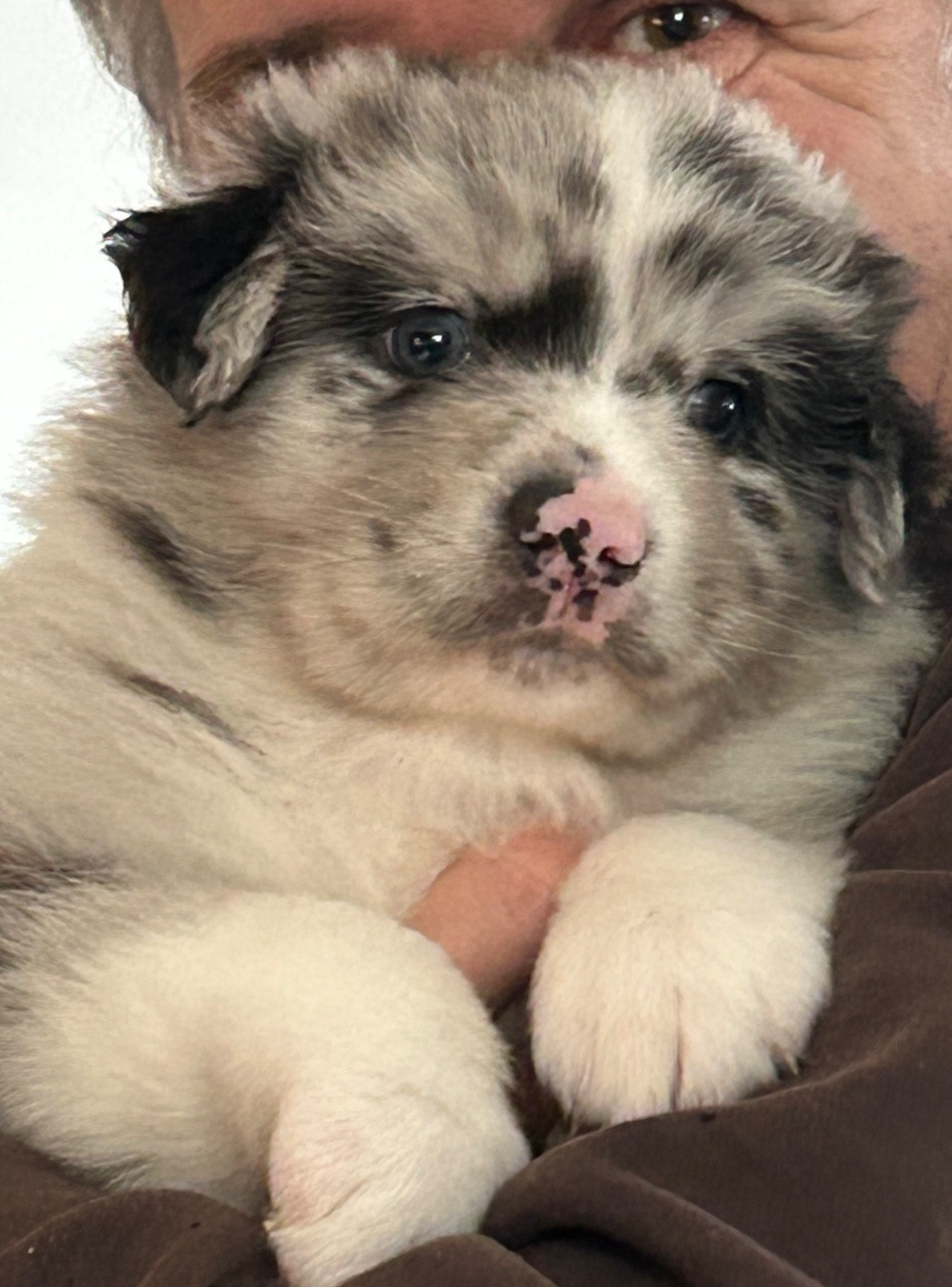 Ad vitam aeternam Aïko