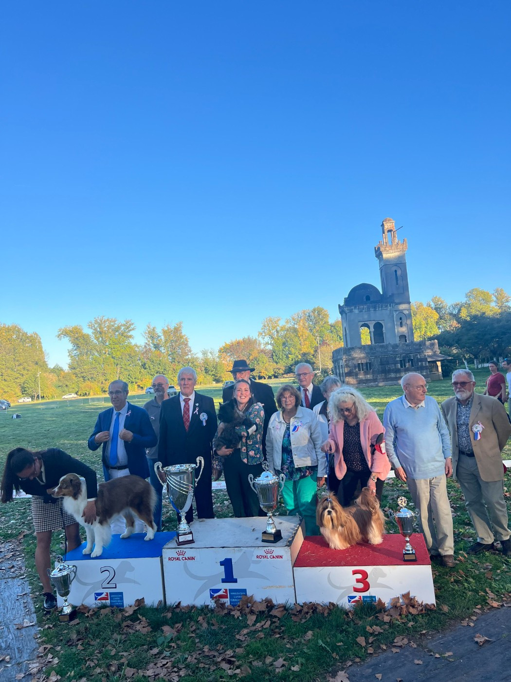 CH. Raggamuffin du Moulin de Mac Grégor - MEILLEUR CHIEN DE L EXPOSITION :BIS