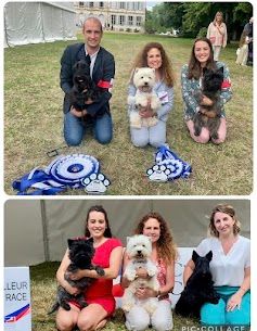 CH. Raggamuffin du Moulin de Mac Grégor - Meilleur de race les 2 jours : samedi (Spéciale de R) et dimanche (Championnat)