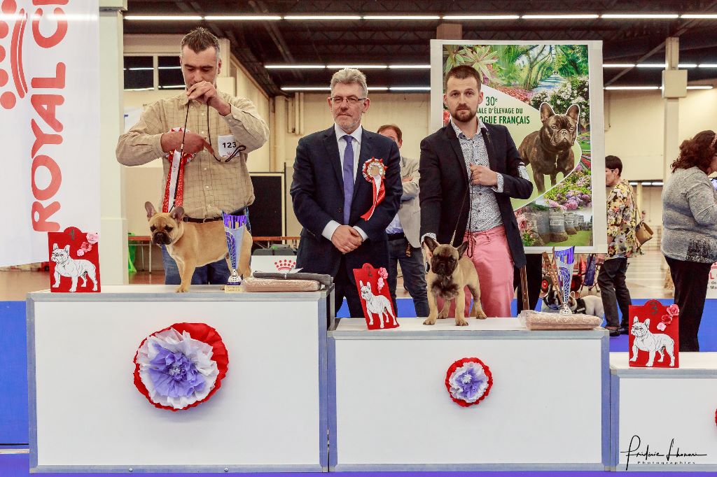 Natchos Marska Des Morandieres - 2 éme très prometteur