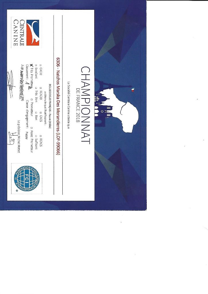 Natchos Marska Des Morandieres - 1er très prometteur