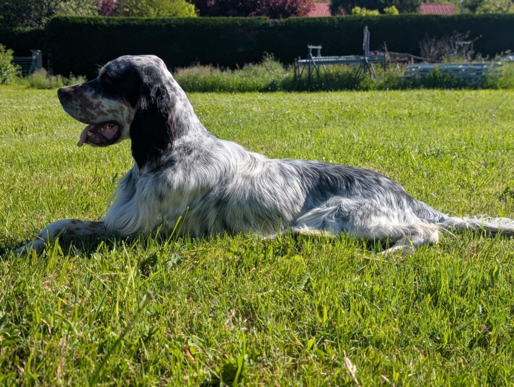 Publication : Des Sentiers De La Douyne Auteur : SENTIERS DE LA DOUYNE
