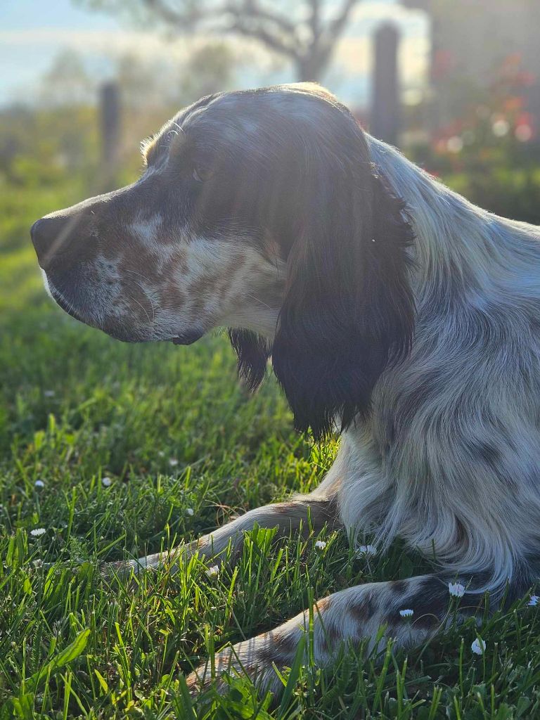 Publication : Des Sentiers De La Douyne Auteur : SENTIERS DE LA DOUYNE