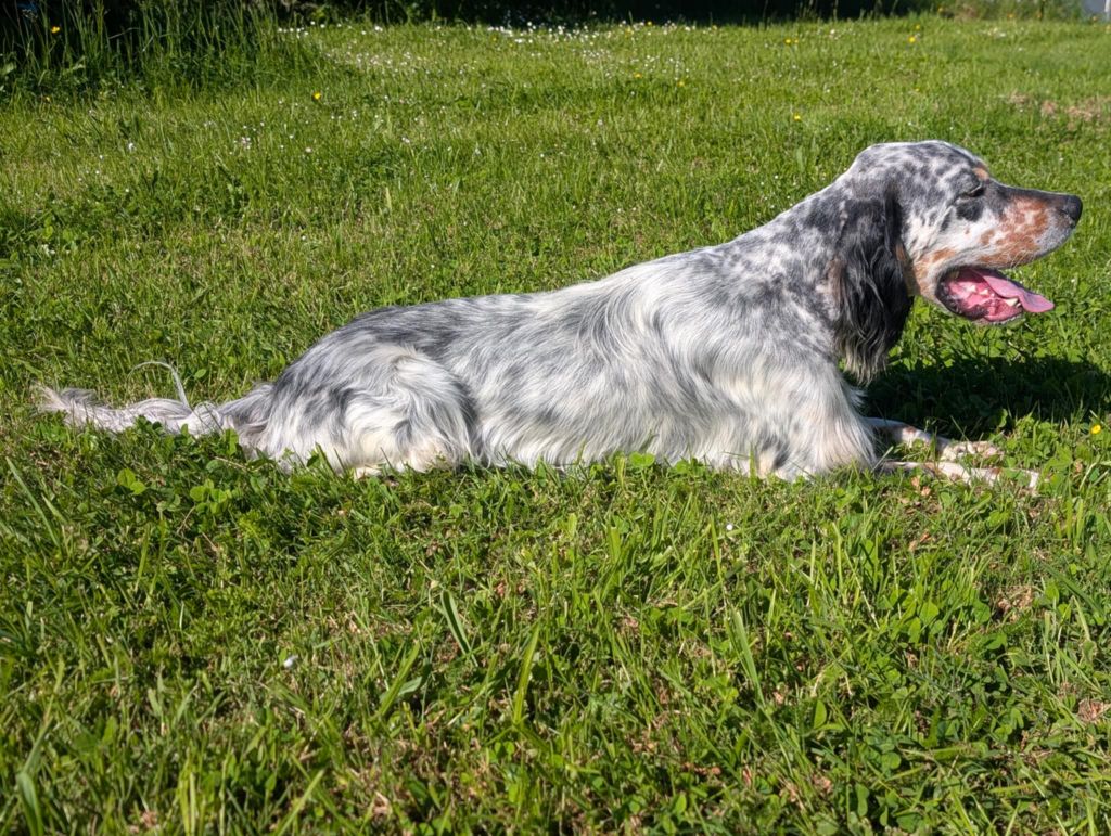 Publication : Des Sentiers De La Douyne Auteur : SENTIERS DE LA DOUYNE