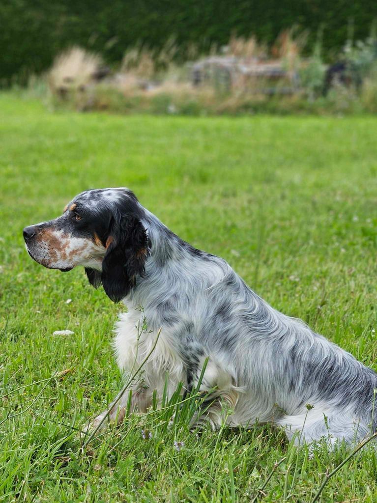 Publication : Des Sentiers De La Douyne Auteur : SENTIERS DE LA DOUYNE