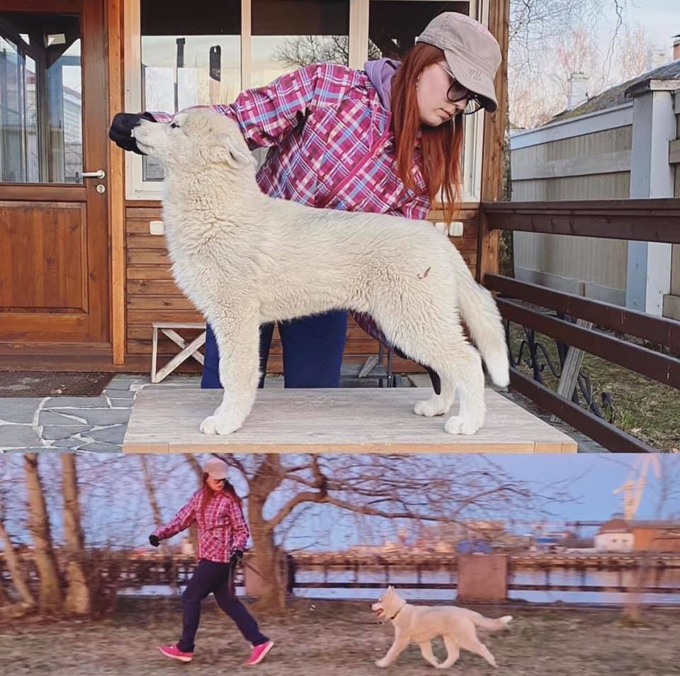 KARJALAINE OCEANO ATLANTICO