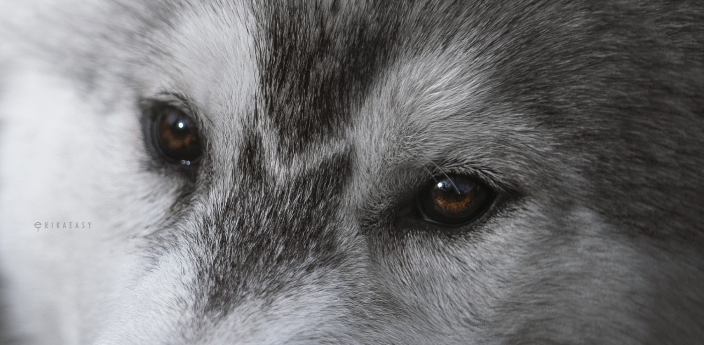 KARJALAINE OCEANO ATLANTICO