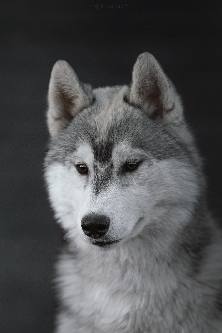 KARJALAINE OCEANO ATLANTICO