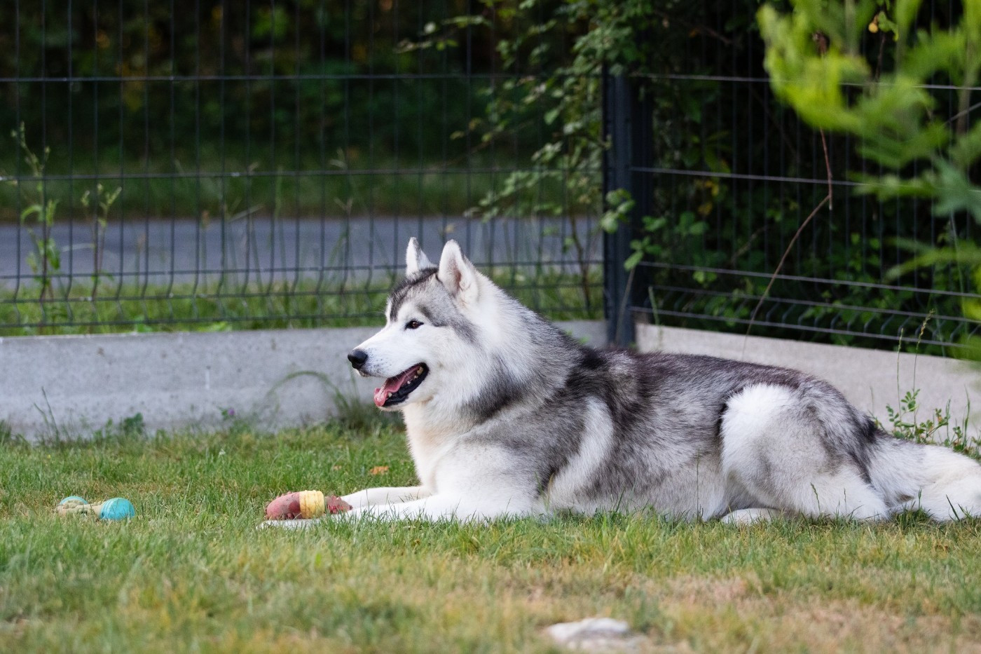 KARJALAINE OCEANO ATLANTICO
