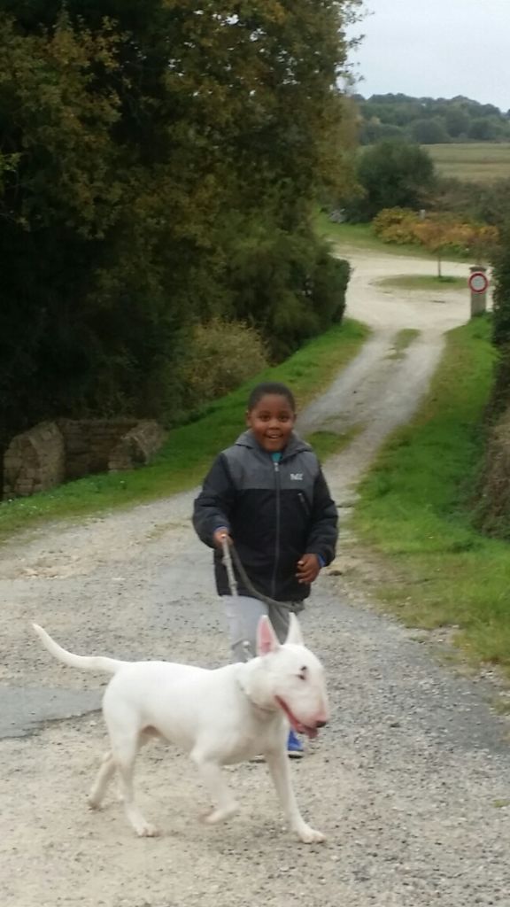 Publication : (Sans Affixe)