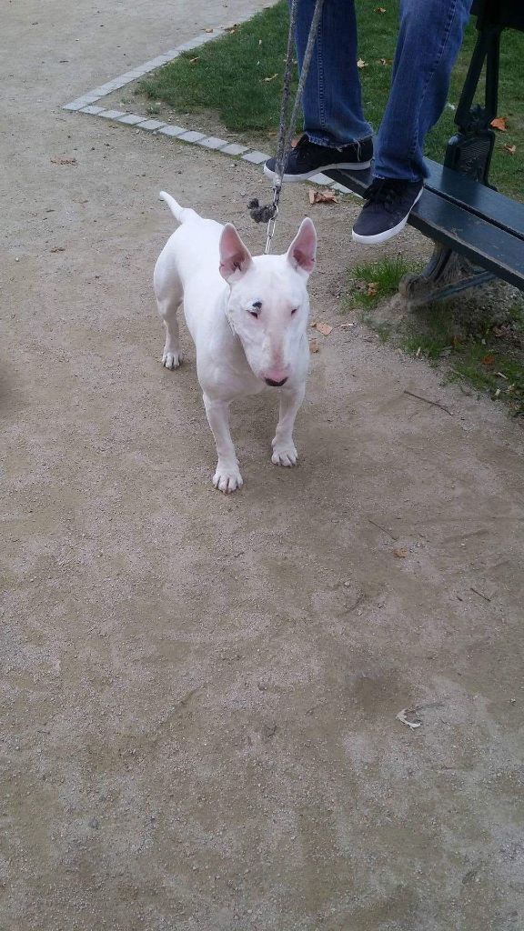 Publication : (Sans Affixe)