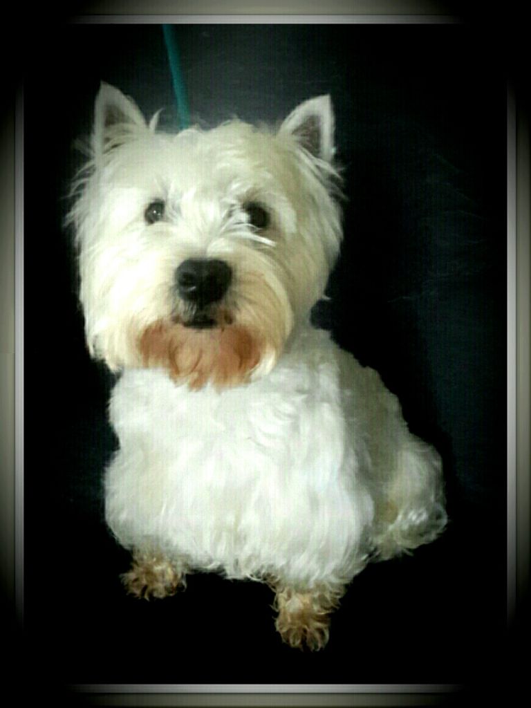 Publication : (Sans Affixe)