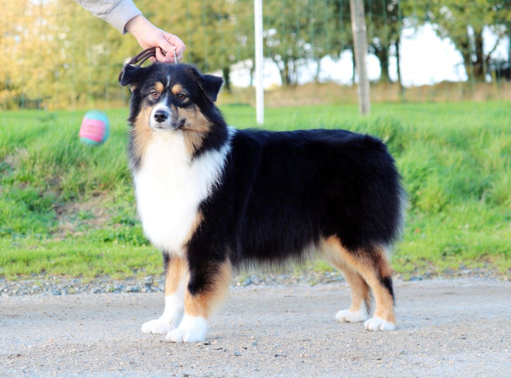 Publication : Bel'houria