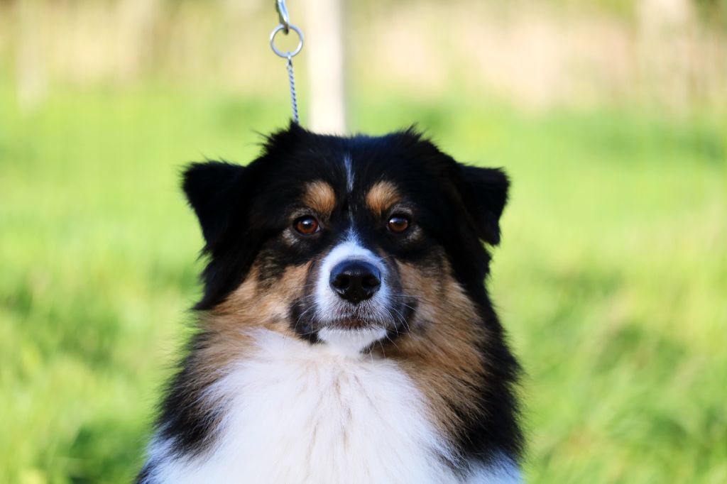 Publication : Bel'houria