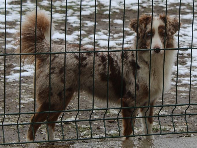 Publication : Lanka Fire