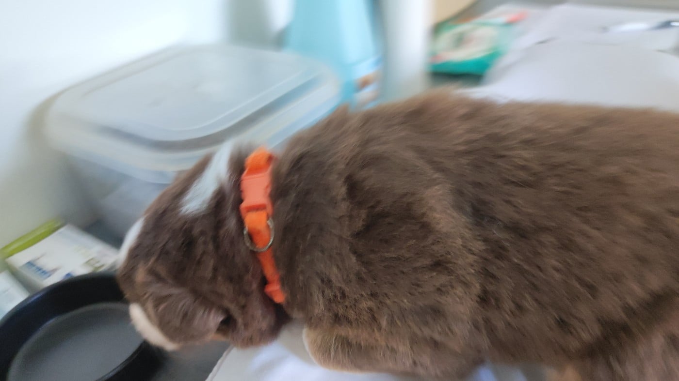 Bahia (collier orange)