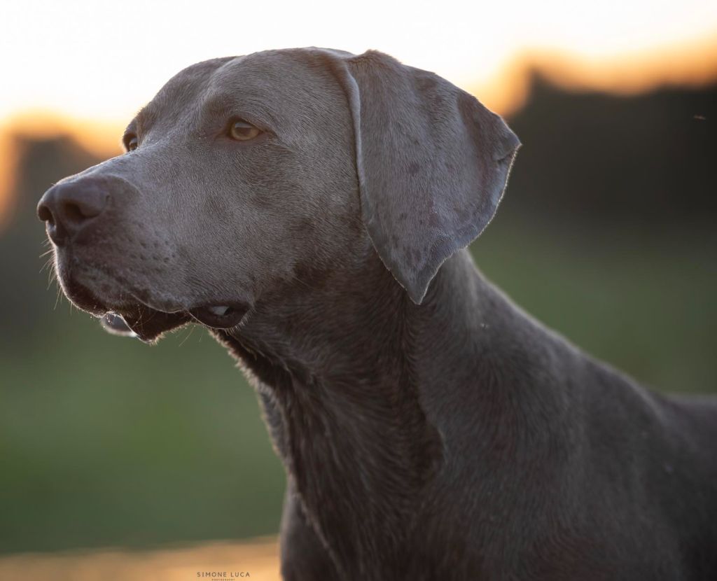 Publication : d'Orval Hills Auteur : Veronica Bufalini, Italy