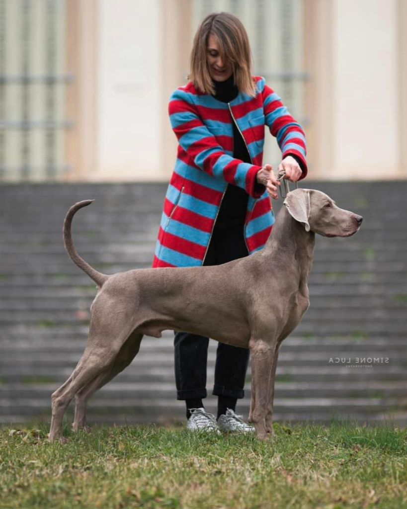 Publication : d'Orval Hills Auteur : Veronica Bufalini, Italy