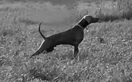 Publication : d'Orval Hills Auteur : Veronica Bufalini, Italy