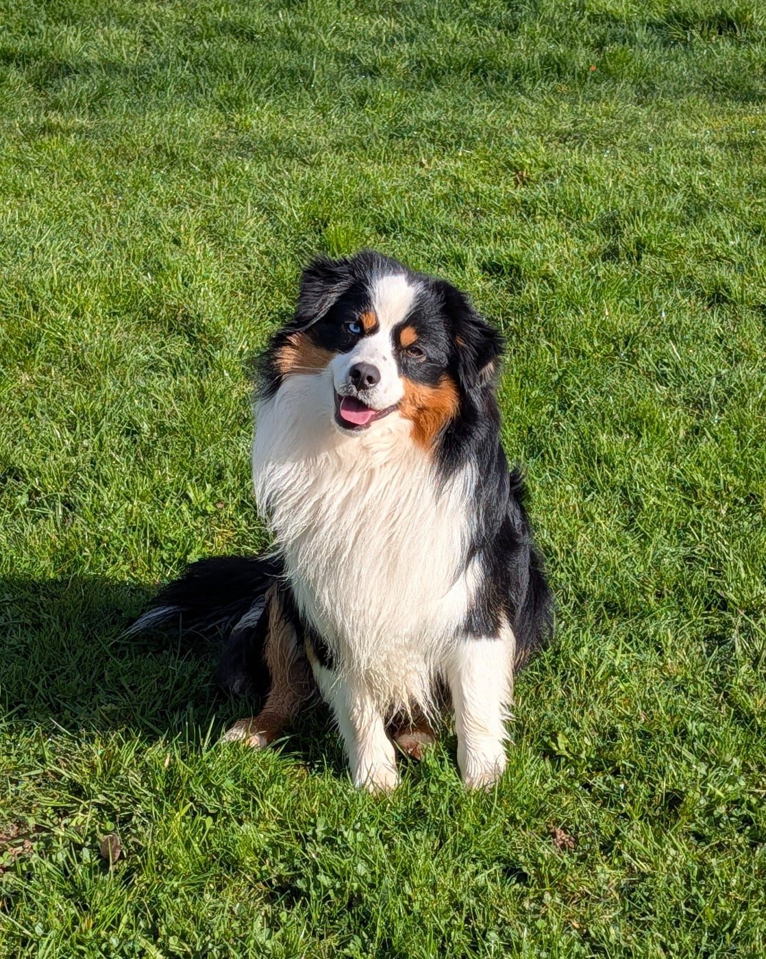 Publication : De L'Esprit D'Oural Auteur : Cyril M