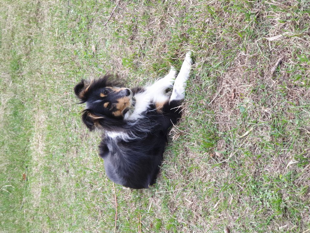 Publication : Des Terre De Vassiviere