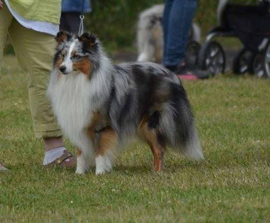 Publication : Des Terre De Vassiviere Auteur : Véronique Galilé