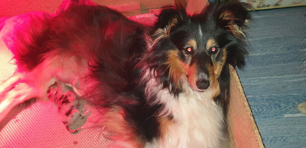 Publication : Des Terre De Vassiviere